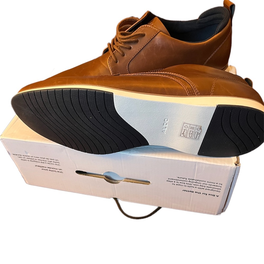 Aldo men shoe